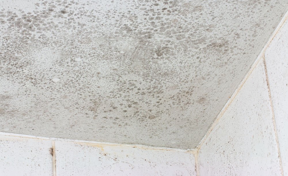 How to Prevent Mildew