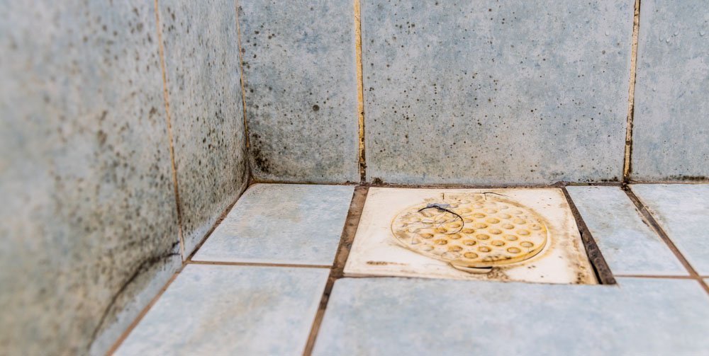 Mold in the Bathroom