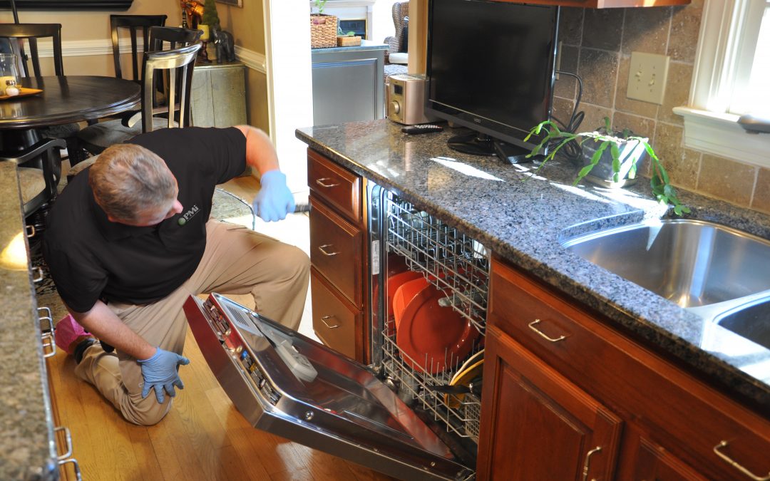 What Happens During Your First Pest Control Treatment