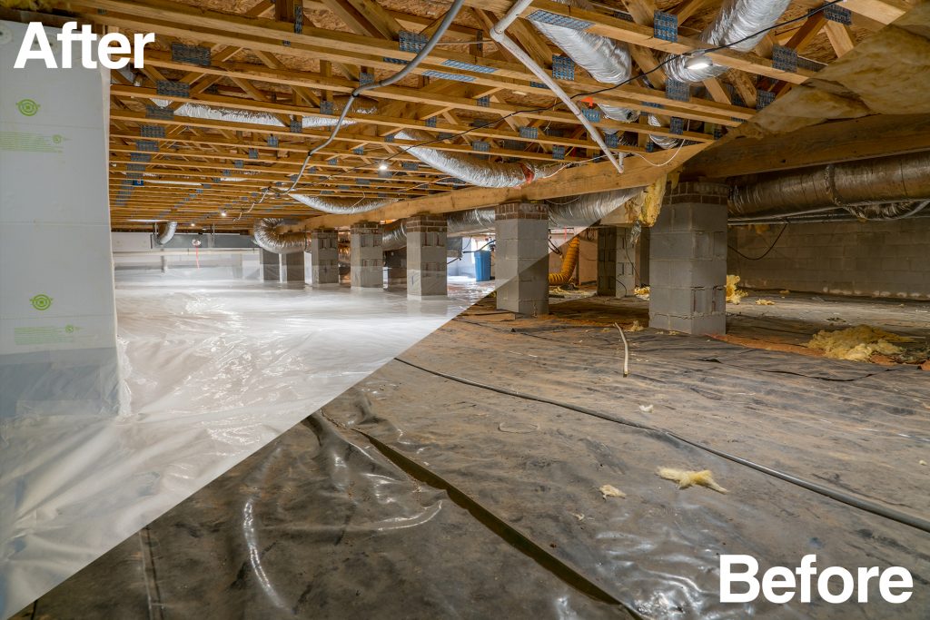 Preventing a Pest Infestation: Checklist for Homes Preventing a Pest Infestation: Checklist for Homes | Before and After Faded