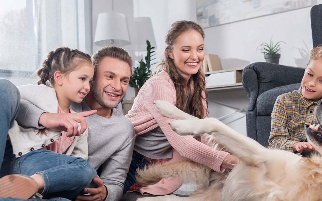 Is Poor Indoor Air Quality Affecting Your Family’s Health? Let’s Talk about Crawl Space Moisture Solutions