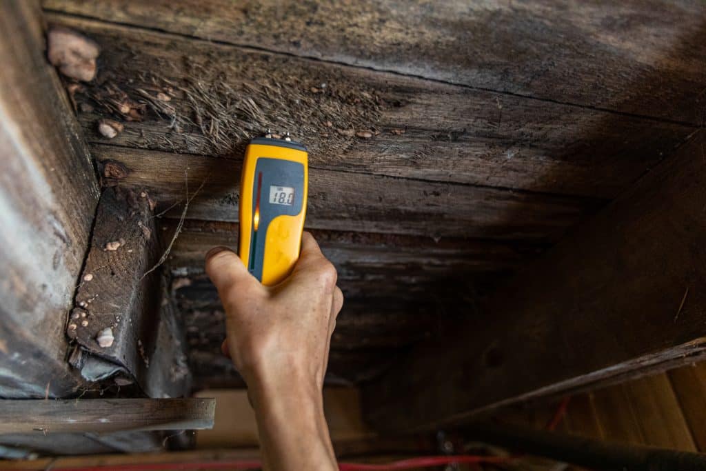 Pest Control DIY: What Do the Pros Do That I Couldn’t Do Myself? Pest Control DIY: What Do the Pros Do That I Couldn’t Do Myself? | Depositphotos 311676294 XL