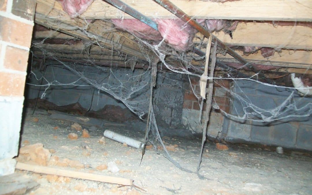 From Inspection to Encapsulation: Why Crawl Space Moisture Deserves Your Attention