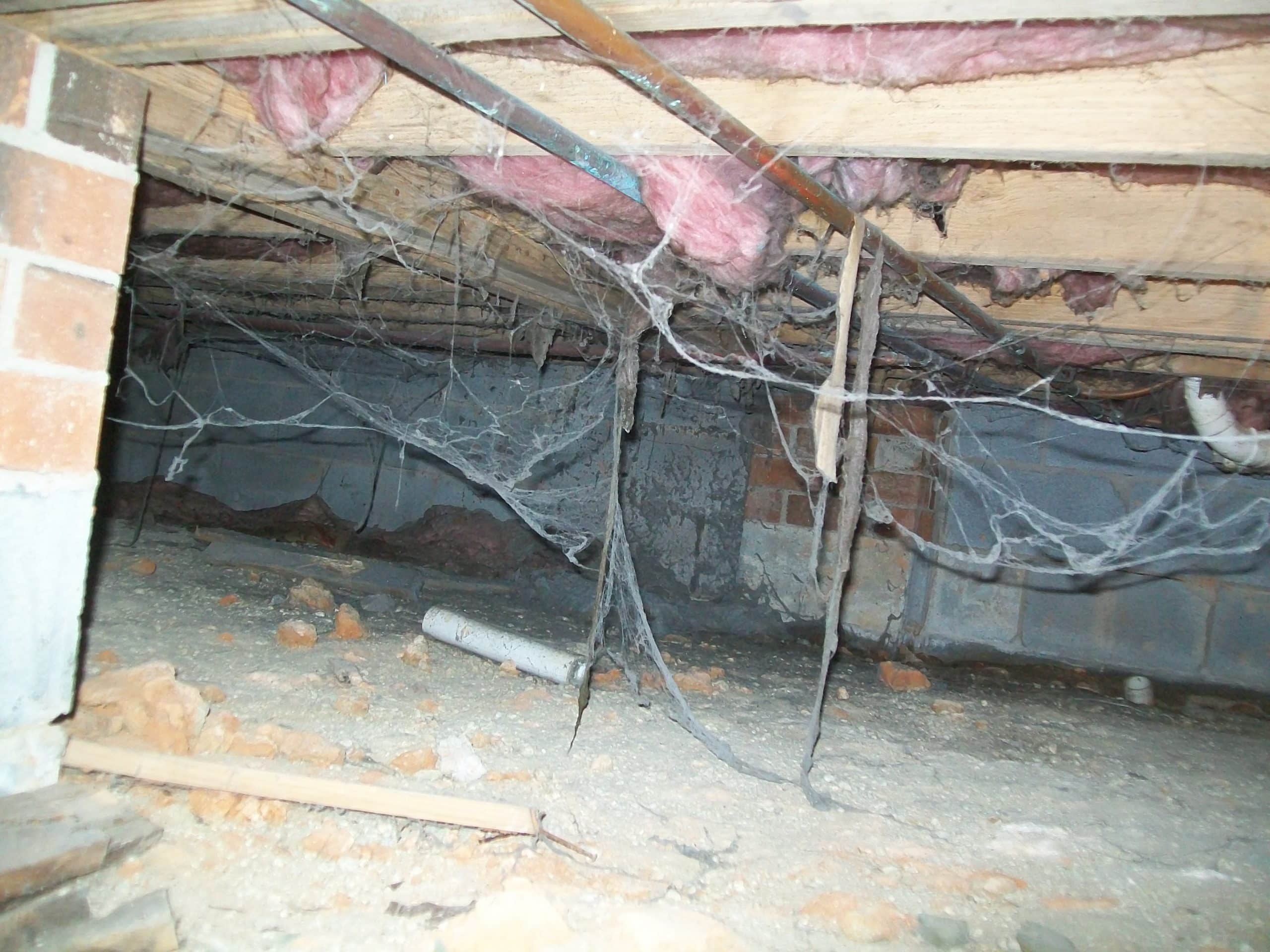 crawl space moisture