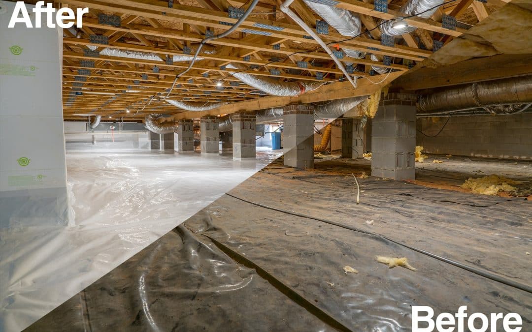The Importance of Crawlspace Renewal: Protecting Your Home from the Ground Up