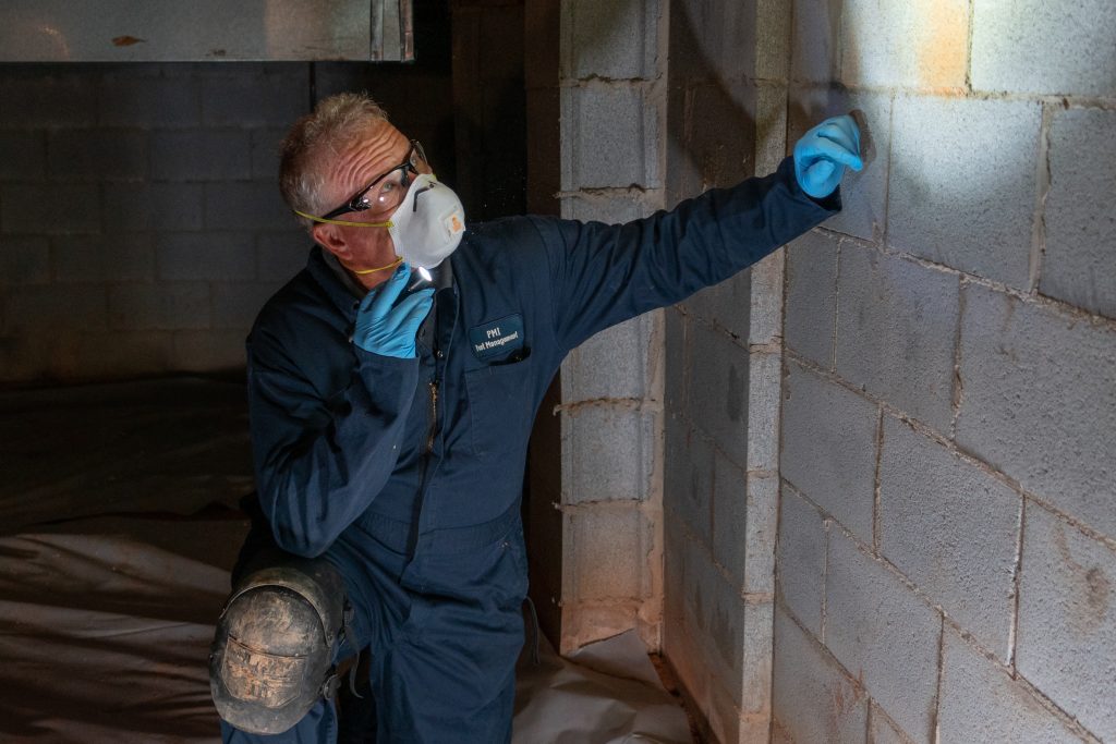 Termite Inspection