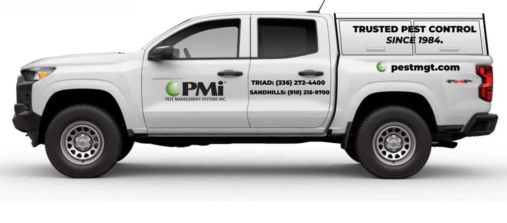 Holiday Decorations From the Attic? The Winter Pests You Could Bring into Your Home | Chevrolet Colorado Mockup Design 2024 01
