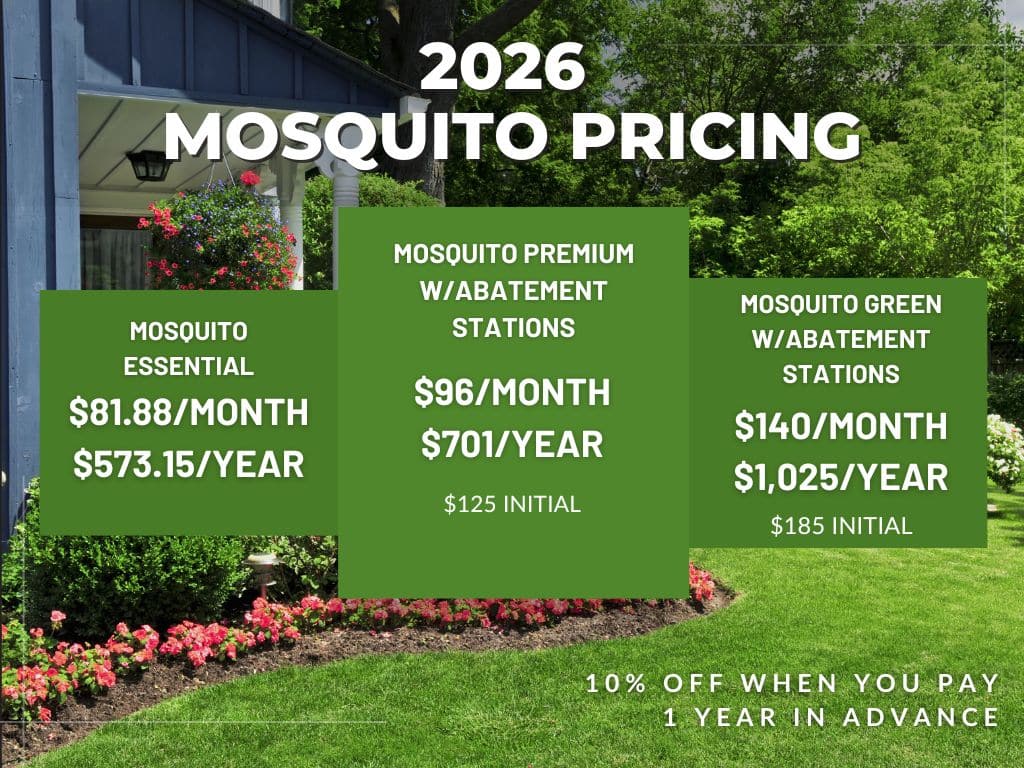 mosquito management